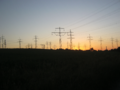 Mastenwald 15062014