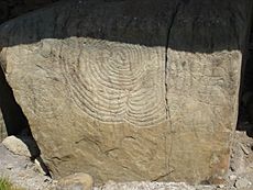 Archivo:Megalithic art at Knowth burial site in Ireland
