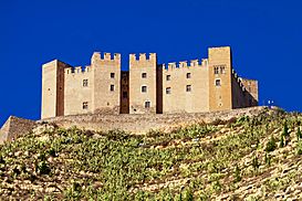 Mequinenza Castle.jpg