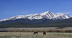 Mount Elbert and horses.jpg