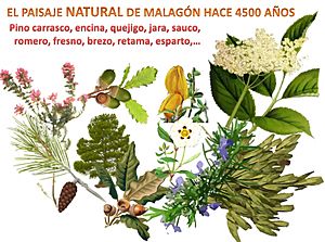 Archivo:Paisaje vegetal natural de El Malagón (Cúllar)