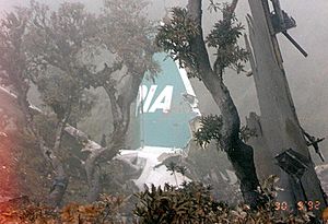 Archivo:Pakistan International Airlines Flight 268 Crashsite