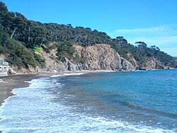 Plage des Bonnettes, Le Pradet.jpg