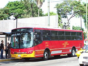Archivo:Pre-Tren autobus100 2826