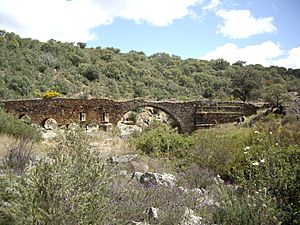 Archivo:Puente Serapio - panoramio
