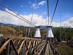 Puente de Occidente, enero de 2022 - puente 01.jpg