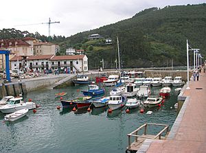 Archivo:Puerto Arminza