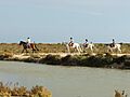 Punta Entinas Sabinar 2