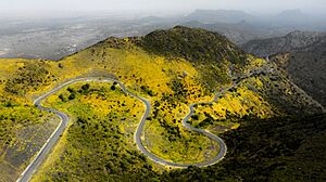 Archivo:Sheikh mountain, Somaliland