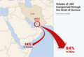 Strait of Hormuz daily average of LNG (2024)