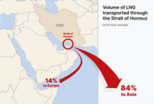 Archivo:Strait of Hormuz daily average of LNG (2024)