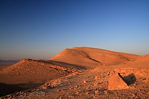 Archivo:Syrian Desert (5079180729)