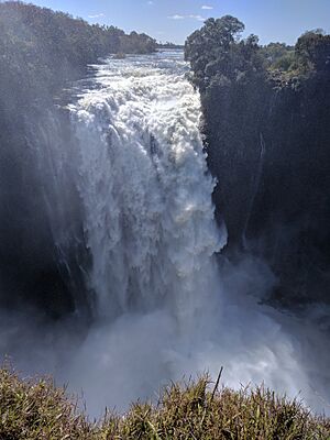 Archivo:VictoriaFalls2018g