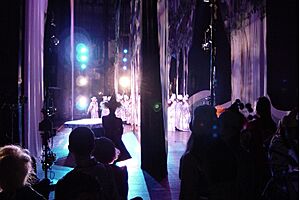 Archivo:View of a performance on stage from the wings
