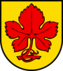 Wappen Kaisten AG.svg