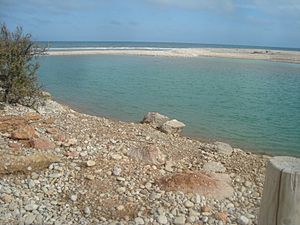 Archivo:Zona húmeda de la desembocadura del río de las Cuevas o río San Miguel (Alcalà de Xivert)