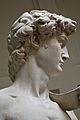 'David' by Michelangelo Fir JBU011