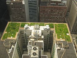 Archivo:20080708 Chicago City Hall Green Roof