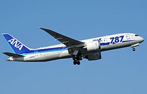 Archivo:ANA Boeing 787-881 Aoki-1