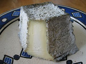 Archivo:AOP Valençay fromage - coupé