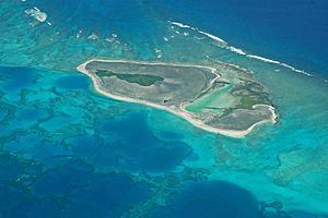 Archivo:Aerial photography of Pearl and Hermes atoll
