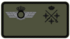 Teniente general
