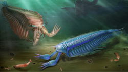 Artistic reconstructions of Fortiforceps foliosa and Sklerolibyon maomima gen. et sp. nov. in early Cambrian Gondwanian seas.png