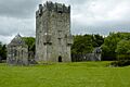 Aughnanure Castle (pixinn.net)