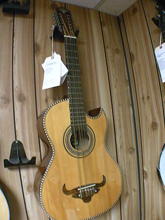 Bajo sexto ? - I can't read the tagger! 12 String Something - Homestead Pickin' Parlor (2007-08-10 05.51.16 by kc7fys)