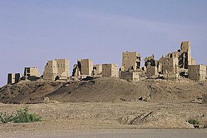 Archivo:Barakisk flickr01