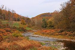 Bowman Creek looking downstream from State Route 3003 (2).JPG