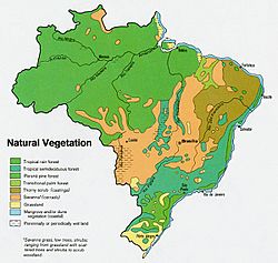 Archivo:Brazil veg 1977