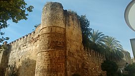 Castillo de la Madera esquina.jpg