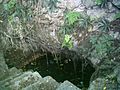Cenote del Parque de Cholul, Yucatán (03)