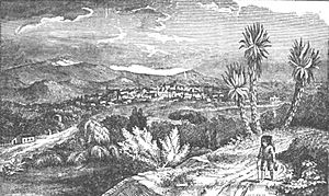 Archivo:City of Xalapa - Pg-14b