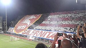 Archivo:Coreografia curva sud in Salernitana - Lecce del 01 settembre 2013