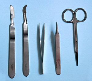 Archivo:Dissection tools