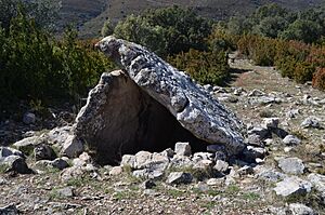 Archivo:Dolmen de la Piatra (Belsué) 1