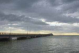 Archivo:El Zacatal bridge, Ciudad del Carmen 2020p2