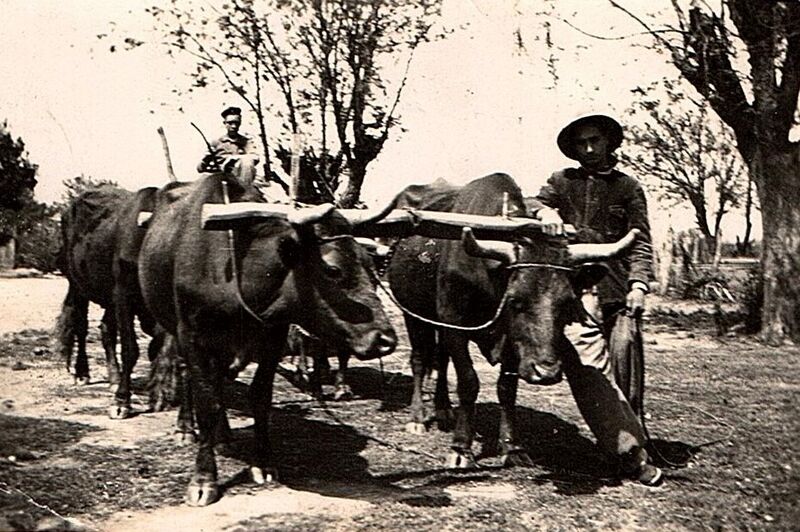 Establecimiento Agrícola-Ganadero San Jorge