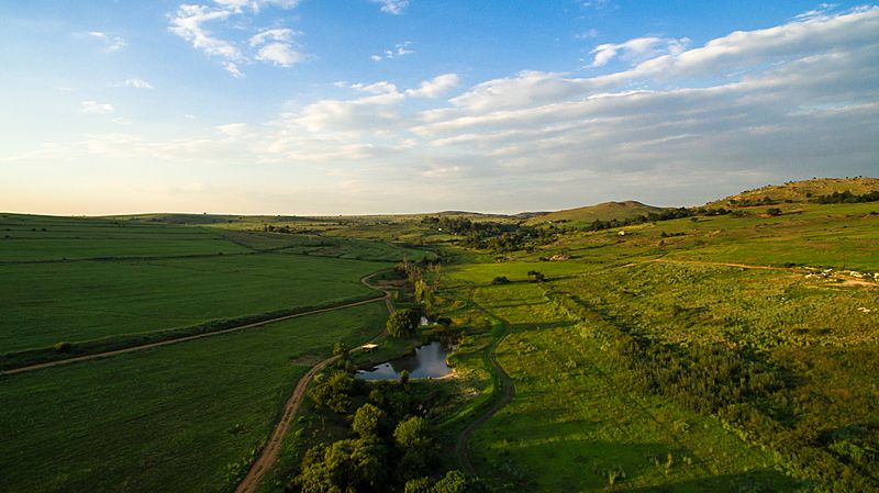 Farm Views