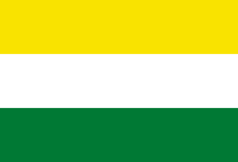 Flag of Alto Beni, Bolivia