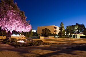 Archivo:Givat ram entrance night 1
