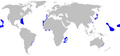 Isurus paucus distmap