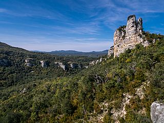 Izki - Peña del Castillo 01.jpg