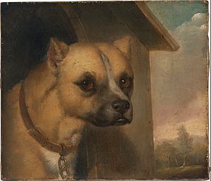 Archivo:J.M. Crossland - Staffordshire bull terrier belonging to the Rev. John Gower - Google Art Project