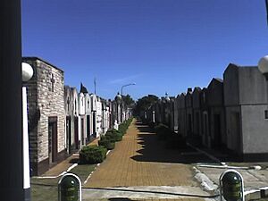 Archivo:Merlo 88