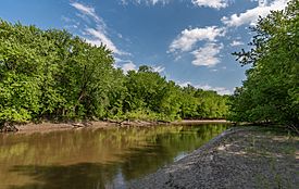 Minnesota River at Wita Tanka (Pike Island), Fort Snelling State Park, Minnesota (42343541862).jpg