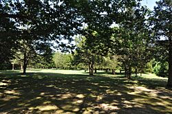 MoheganRes FortShantokGlade.jpg