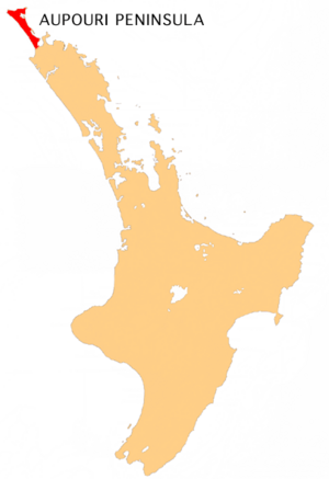 Archivo:NZ-Aupouri P